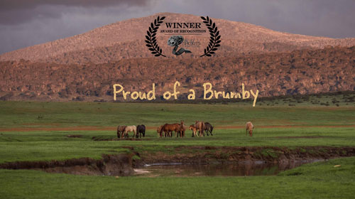 Proud Of A Brumby